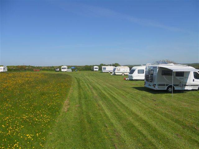 Camping at Stoke Barton Farm